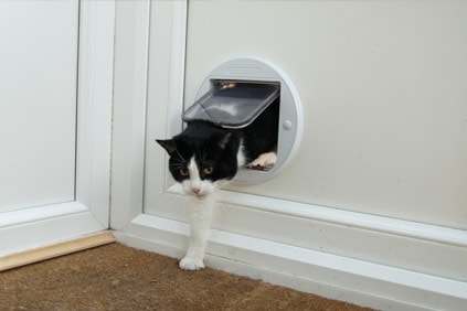 Energy efficient cat clearance door